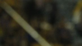 Carlos Fierro festeja un gol con las Chivas Rayadas de Guadalajara en 2013.