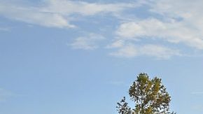 La afición de México, paga lo que sea por ver al Tri en el estadio NRG de Houston.