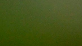 Andrés Guardado estará disputando su cuarta Copa Oro