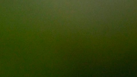 Andrés Guardado estará disputando su cuarta Copa Oro