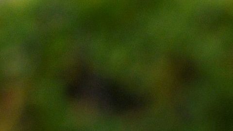 El jugador de los Rayados de Monterrey Jesús Gallardo.