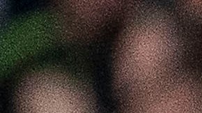 Entre lesiones y traslados la Selección Mexicana ha vivido un calvario en la Copa Oro