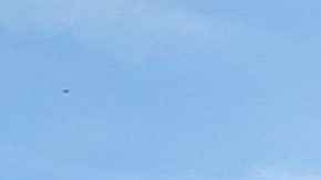 Ezequiel Peña desea que se reconozca el aporte de los inmigrantes a los Estados Unidos. (Araceli Martínez/La Opinión)