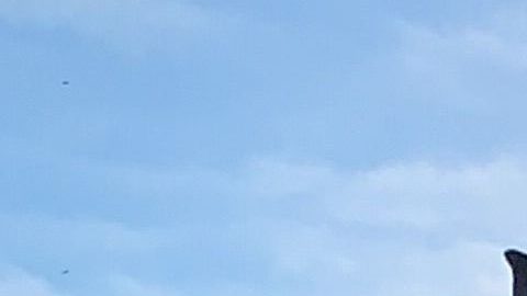Ezequiel Peña desea que se reconozca el aporte de los inmigrantes a los Estados Unidos. (Araceli Martínez/La Opinión)