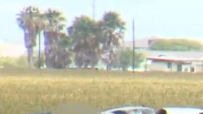 Las autoridades informaron que la camioneta viajaba a una alta velocidad cuando chocó.