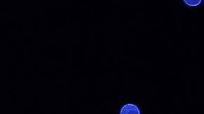 Bezos dice que, para predecir el futuro, debes fijarte en las cosas que son constantes.