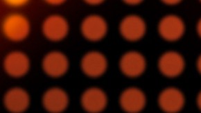 "La Voz" tendrá una segunda temporada en Telemundo