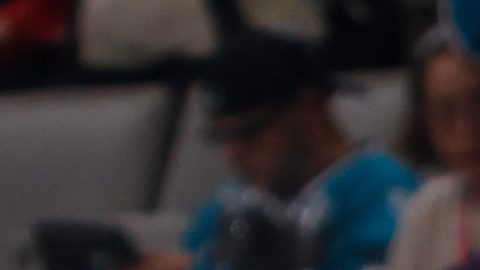 Los Sharks de San José.