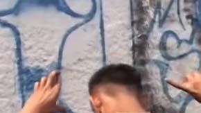 Expertos coinciden en que para atajar el problema de la MS-13 hacen falta modelos más comprensivos.