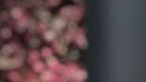 Mhoni Vidente y el horóscopo de hoy, 24 de septiembre de 2024.