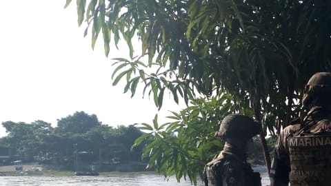 Detienen a integrantes del Cártel del Golfo.