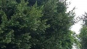 Estación migratoria en Chiapas.