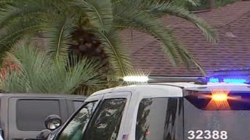 El incidente ocurrió en la cuadra 9200 de la calle Rockcliff al norte del Condado Harris.