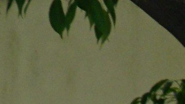 En foto de archivo. Niños hijos de inmigrantes dedicados a la churrería que viven en San Fernando salieron a dar su apoyo a Bernie Sanders para el 2020. (Cortesía Don Irwin).