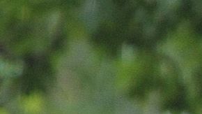 En California, casi el 20 por ciento de todos los estudiantes de escuelas públicas están clasificados como estudiantes aprendices de inglés. (Archivo)