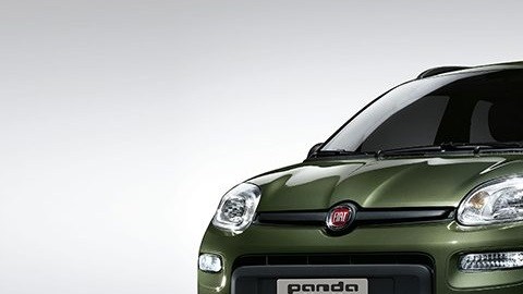 panda-4x4