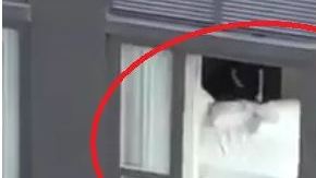 Un detalle en el departamento de abajo ha hecho que el video sea viral.