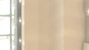 Hay un departamento especial para gestionar el registro y acomodo de los perros.