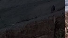 El agente solo fue identificado como "Pascual".