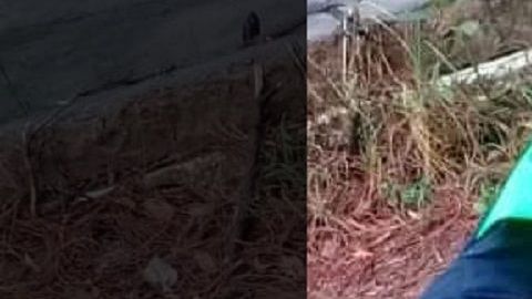 El agente solo fue identificado como "Pascual".