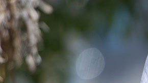 Muchos de ellos llevan una vida muy modesta a pesar de que podrían derrochar su fortuna en infinidad de caprichos.