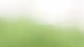 Screen Shot 2019-06-23 at 3 (1)