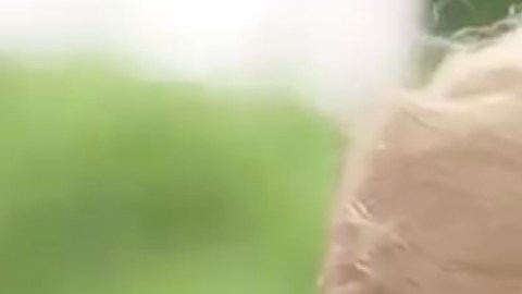 Screen Shot 2019-06-23 at 3 (1)
