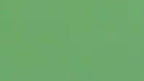 En los 42 minutos de video se puede ver el sufrimiento de la mamá delfín.