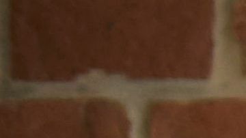 shutterstock_1023568351