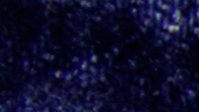 shutterstock_1091305505