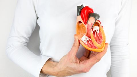 arterioesclerosis