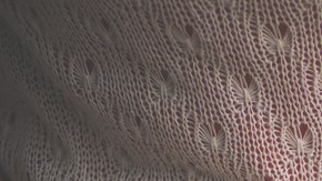 Entre los principales trastornos digestivos se encuentran el síndrome de intestino irritable.