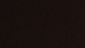 shutterstock_719084350