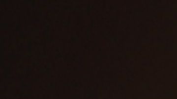 shutterstock_719084350