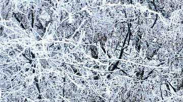 snow-4208253_1920-Pixabay