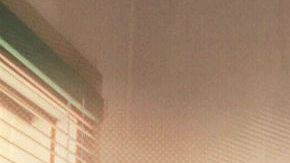 "Spider-Man: into the Spider-Verse"