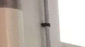 Stephanie Flor  es la fundadora de Around the Wold Beauty.