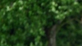 Gerardo Martino Impone un estilo de juego al frente de la Selección Mexicana