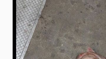 Tiburón en el andén de la línea F, en el Bajo Manhattan