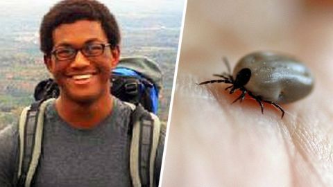 Joven murió por una garrapata que le infecto de Lyme Carditis.