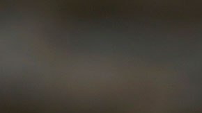 Además de que ganarás un buen dinero, podrás disfrutar de ricos platillos o bebidas.