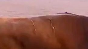 El colombiano Sebastián Ritter es cogido por el toro en la Plaza de Las Ventas de Madrid.