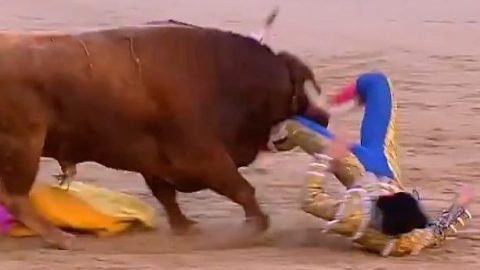 El colombiano Sebastián Ritter es cogido por el toro en la Plaza de Las Ventas de Madrid.