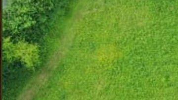 Así recibieron a Trump a su llegada a Londres.