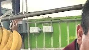 Apolinar Molina muestra los aguacates que muchos rechazan por el precio.