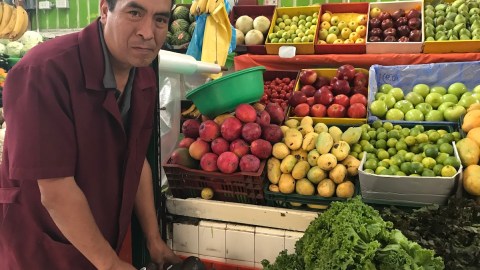 Apolinar Molina muestra los aguacates que muchos rechazan por el precio.