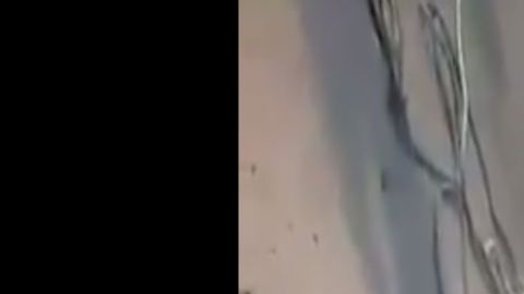 VIDEO: Sicarios del narco le desbaratan cabeza a balazos a un rival en México