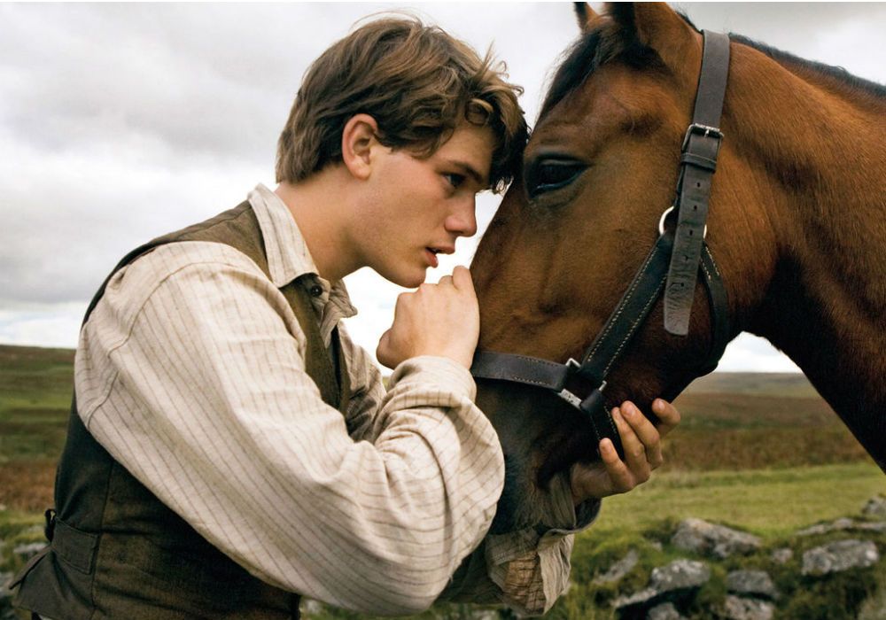 War Horse Pelicula Completa En Español