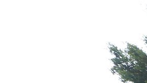 Una desamparada remueve sus cosas de la calle que van a limpiar en Los Ángeles.