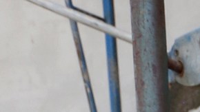 Alicia Guadalupe Jiménez perdió su casa y vio como su familia se separó, pero nunca dejo de luchar.  (Aurelia Ventura/La Opinión)